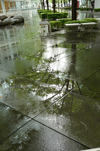 雨の止み間