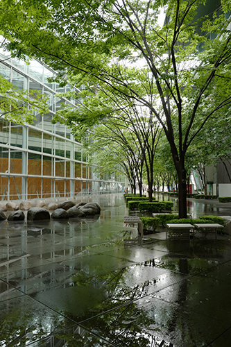 雨の止み間